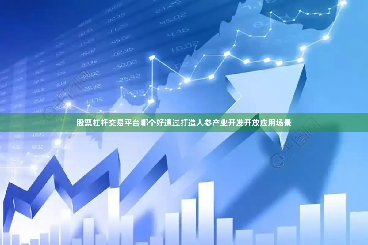 股票杠杆交易平台哪个好通过打造人参产业开发开放应用场景
